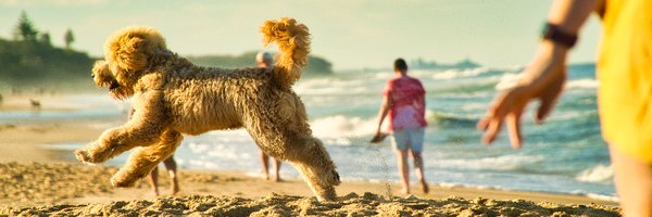 madhavajay Profile Banner