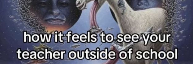 #1 Lancer Hater and Flowey Smasher banner