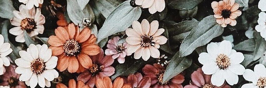 LOtaibe__'s profile banner image