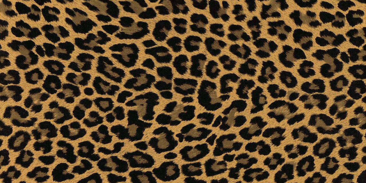 o_naopi's profile banner image
