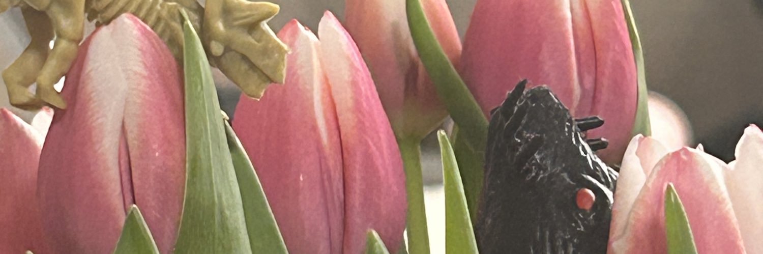 trashpochac's profile banner image