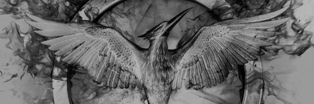 Tzdboss's profile banner image