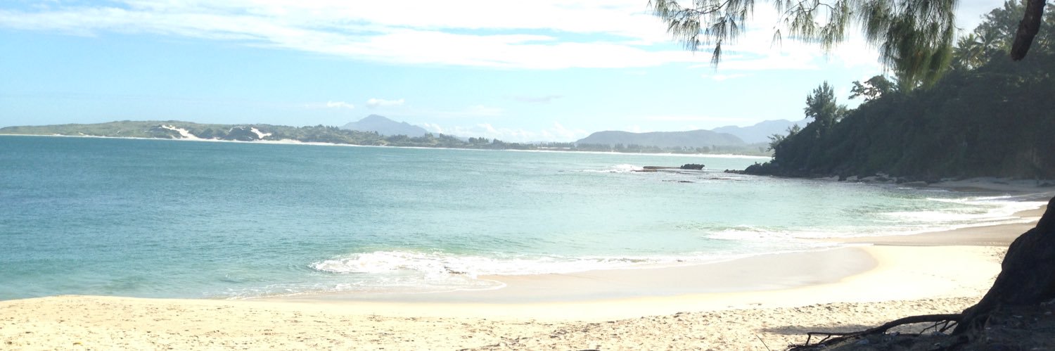 Sophie Benbow banner