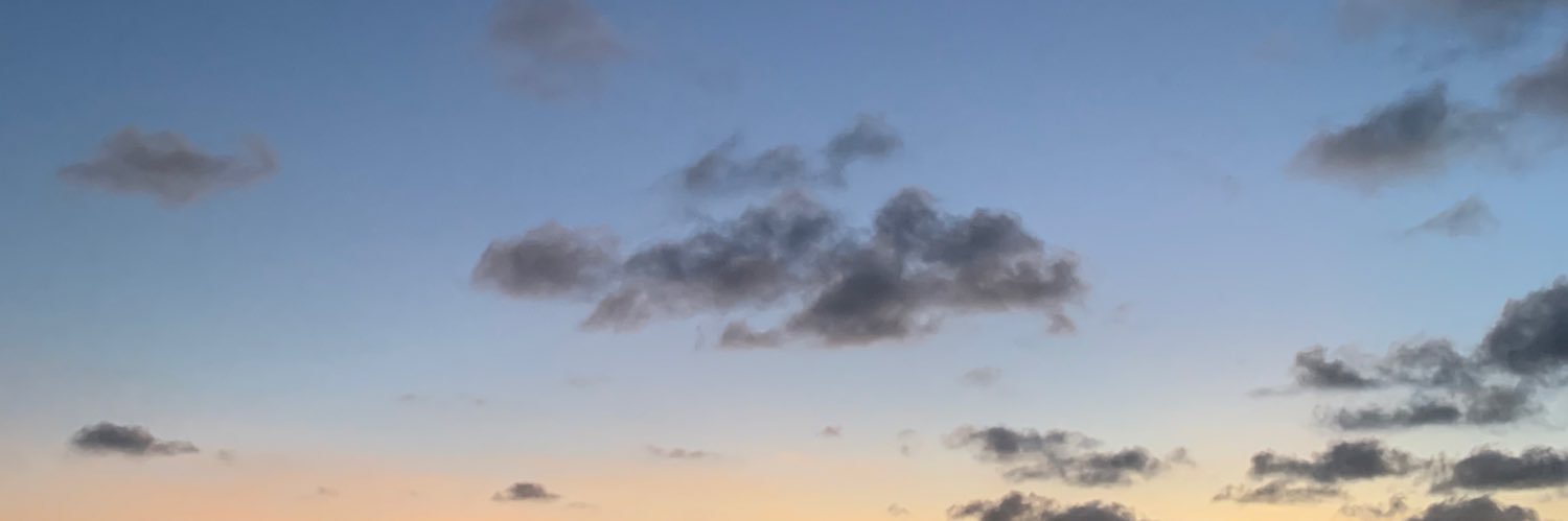 feey banner