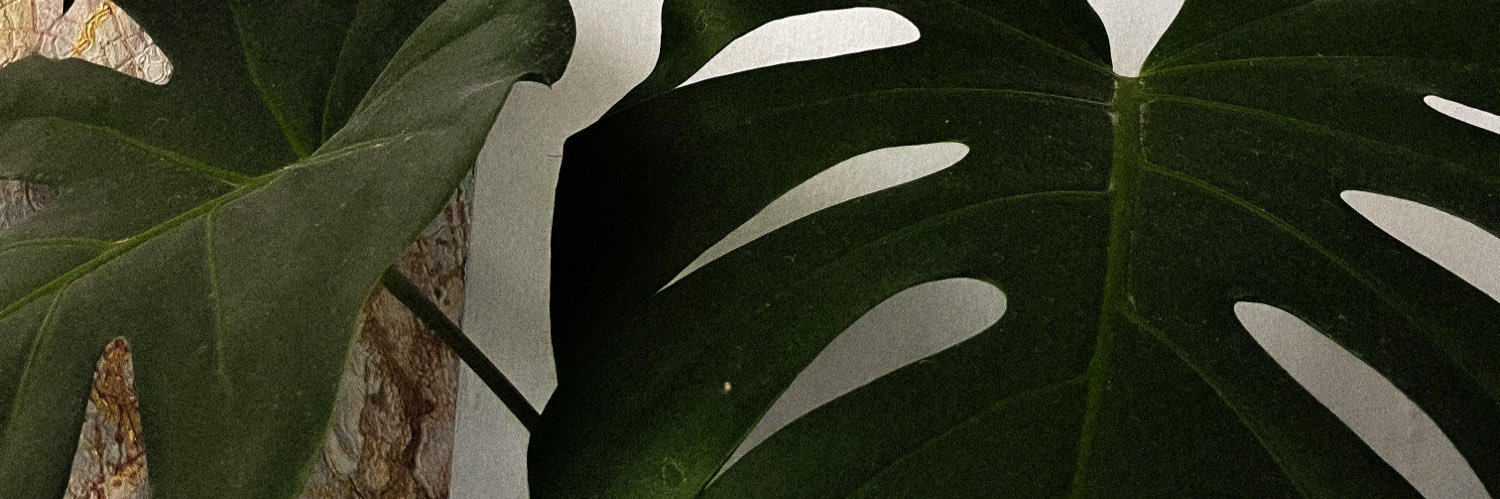 Dann banner