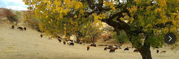 51naa Profile Banner