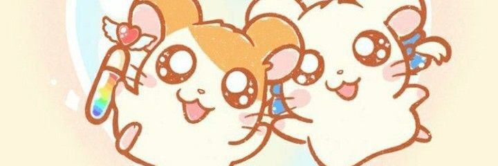 soonie banner