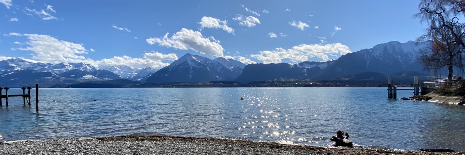 SwissTom's profile banner image
