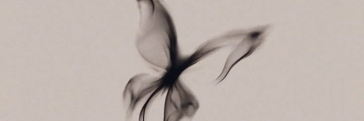 ˚꩜𝓓𝓮𝓷𝓿𝓻𝓻˚꩜ banner