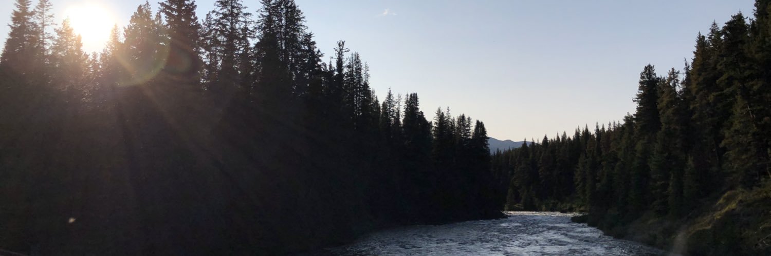 LRouse19's profile banner image
