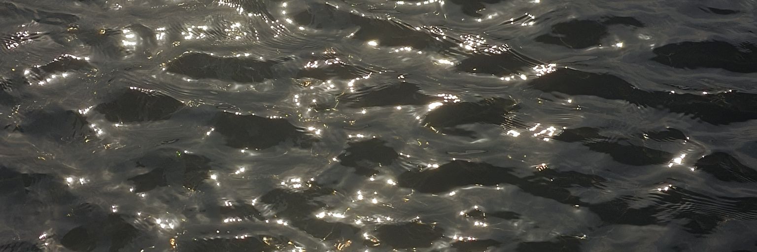 bnv342959's profile banner image