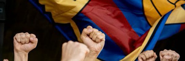 piol_ny Profile Banner