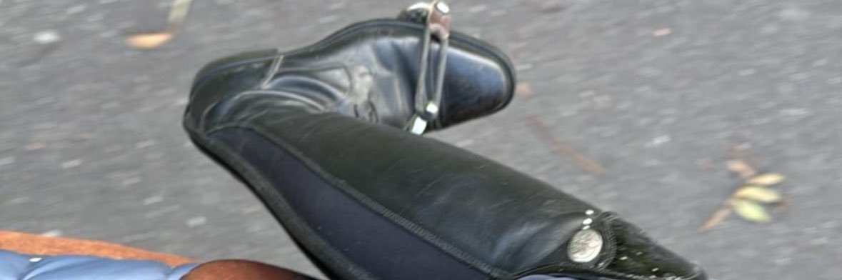LisaMatzen banner