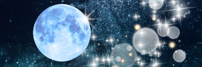 ❦カリスマ無職❦ banner