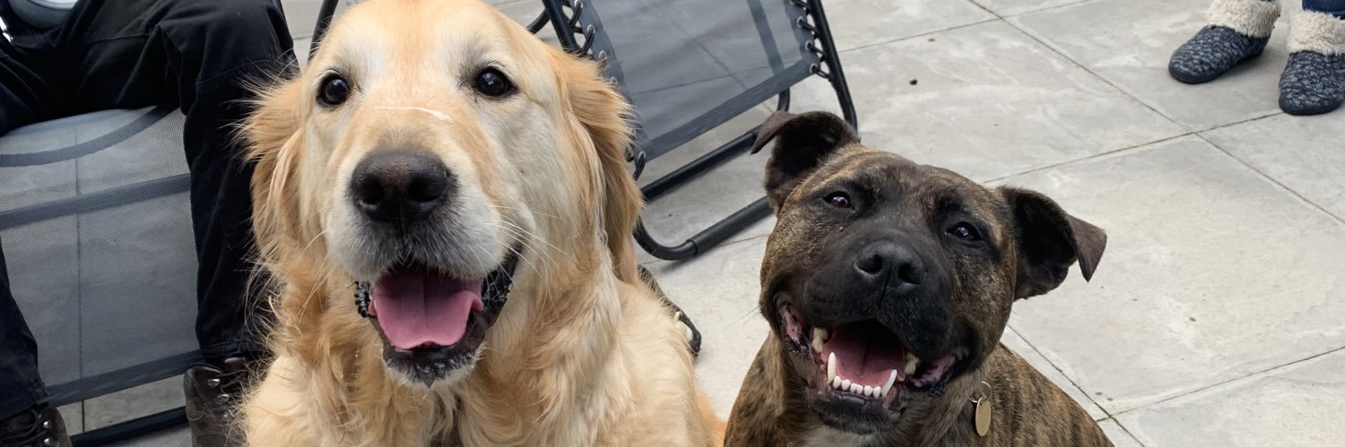 1lauren2's profile banner image