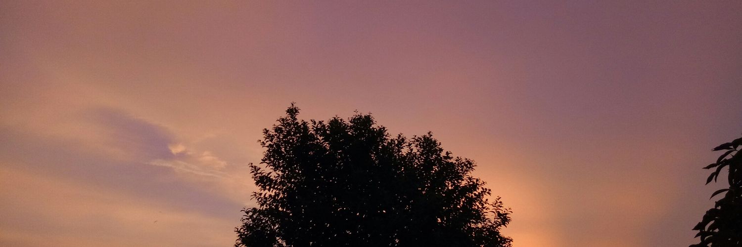 Retnorwd's profile banner image
