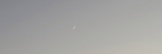 史酷比狗狗 || 有碼版 banner