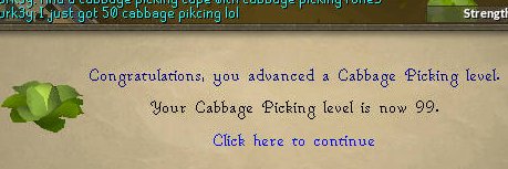 cabbageclan's profile banner image