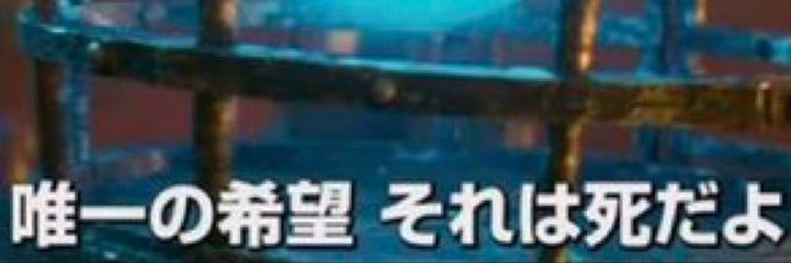 愛されうさぎ banner