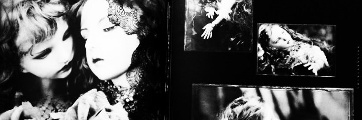 foryoungeverly's profile banner image