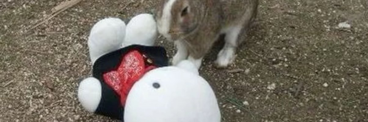 ynr1218628's profile banner image