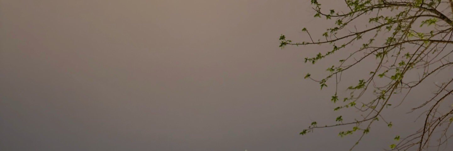 Biona banner