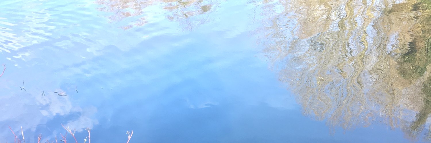 KatyCarr's profile banner image