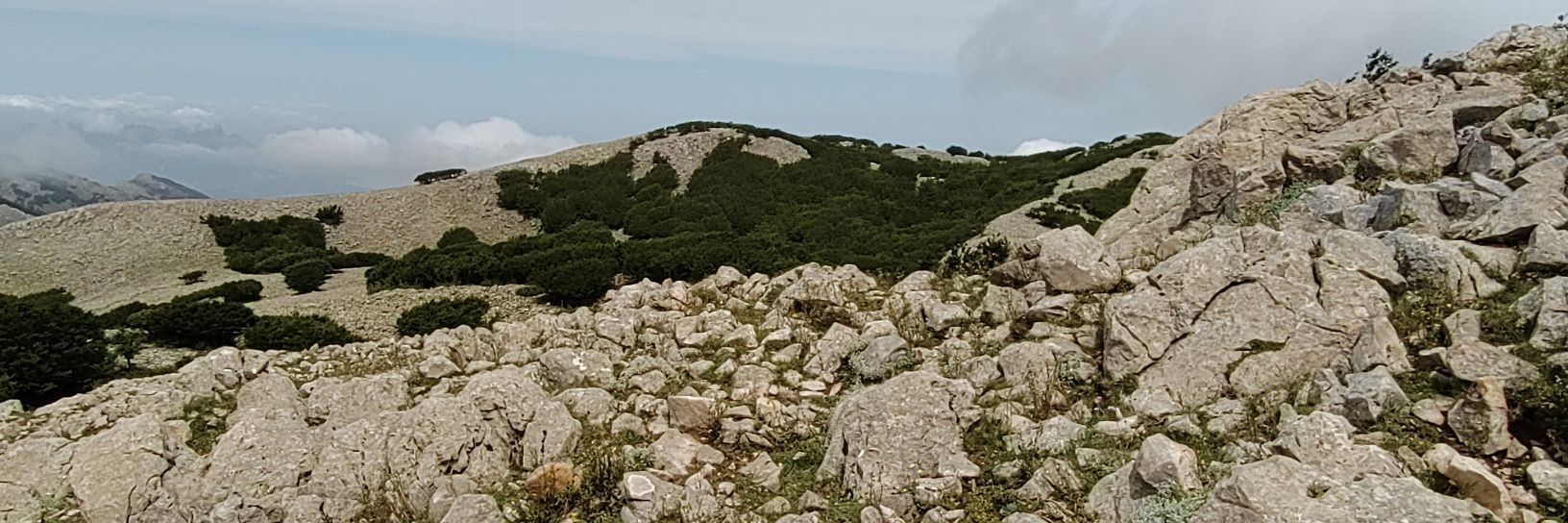 LiDali56's profile banner image