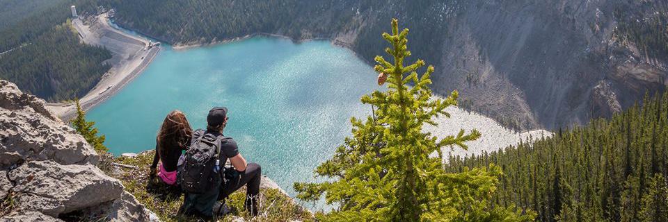 Smaller Earth banner