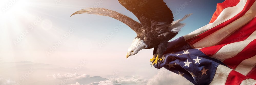 Bailey Monroe banner