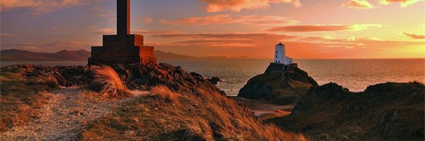 kookyemj Profile Banner