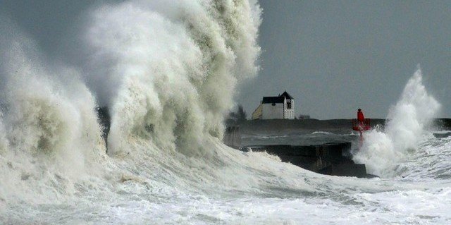 Alain Giffard banner