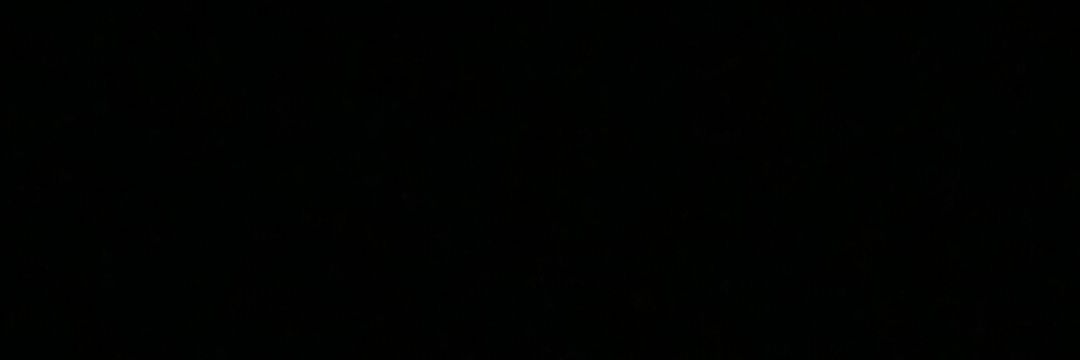 sofía banner