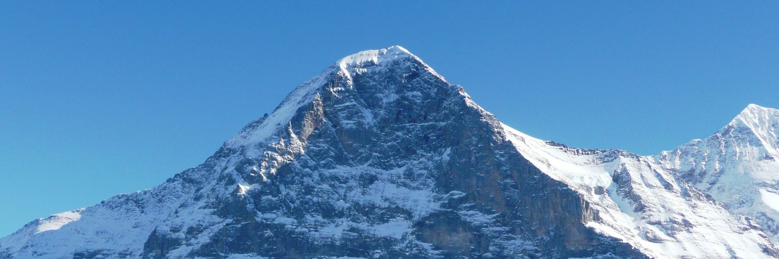 eigertrading's profile banner image