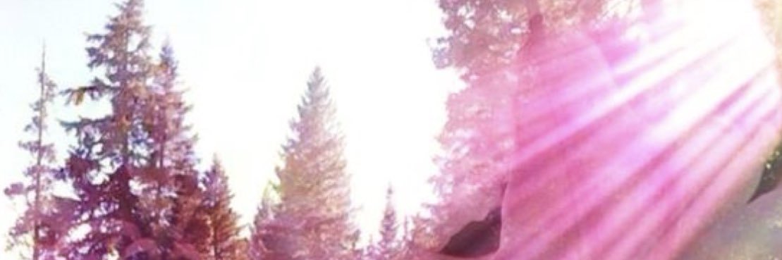 feli 🪽 banner