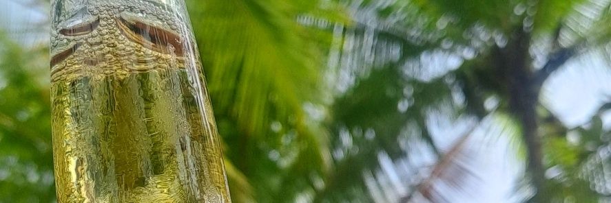 marcelosw505's profile banner image