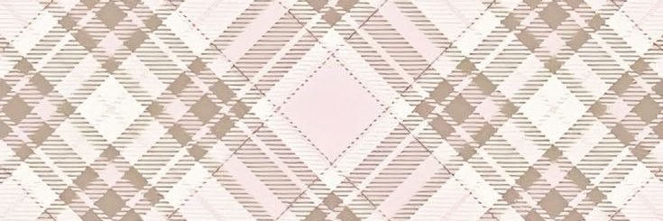 raine 𝄞𝄢⸝⸝ banner