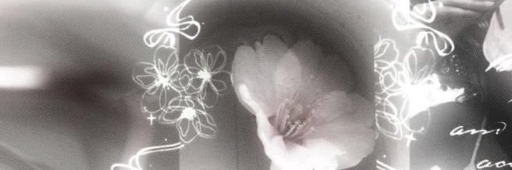 ivybbbi's profile banner image
