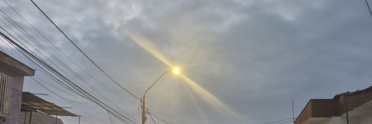 bom_bi banner