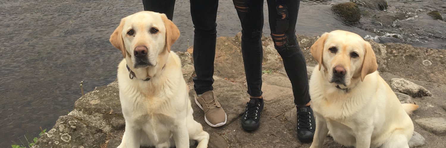 Isabelle Wallace banner