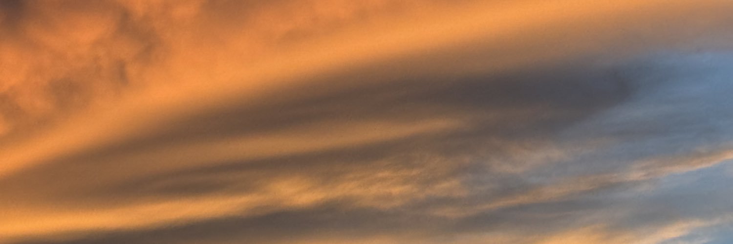 Carola Mirabal banner