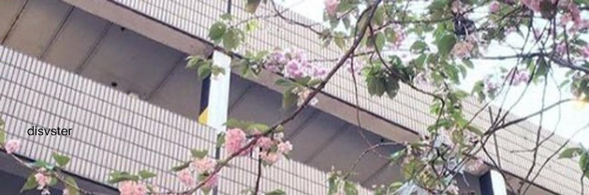 areumsimps's profile banner image