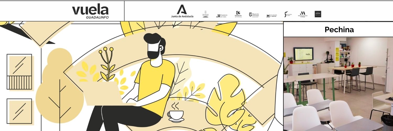 PechinaVuela's profile banner image