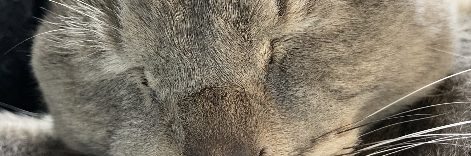 enoco69's profile banner image