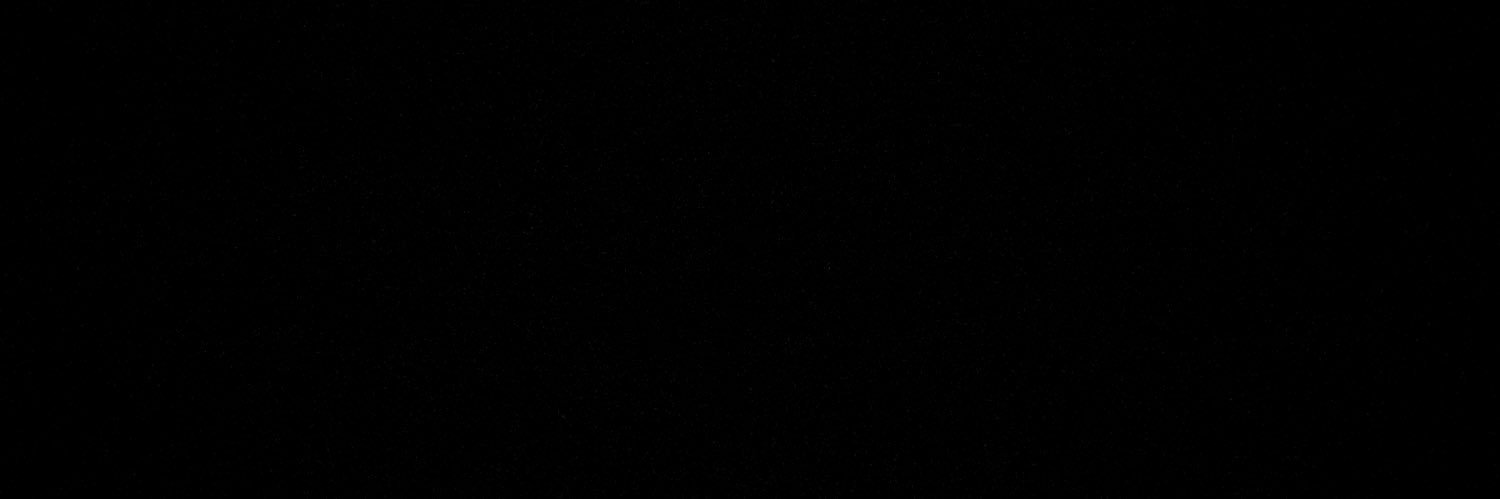 reventomboe's profile banner image
