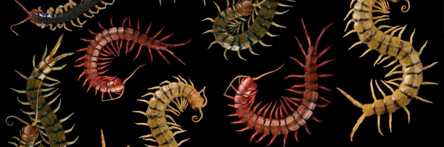 bpd hannibal truther banner