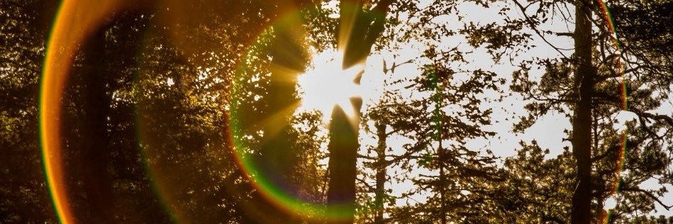 شُروق | 👩🏻‍🎨🕯️ banner