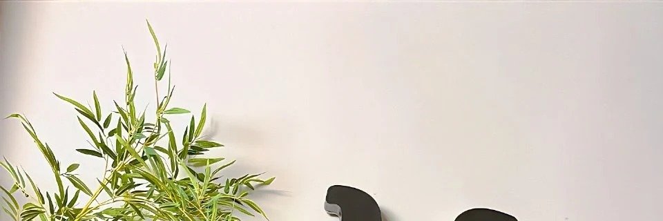 婉晴在台南吖 banner