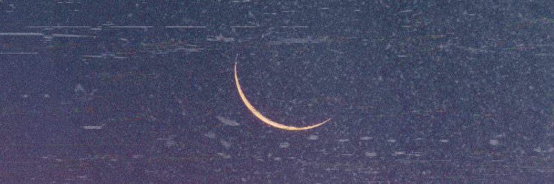 可惜夜の春 banner