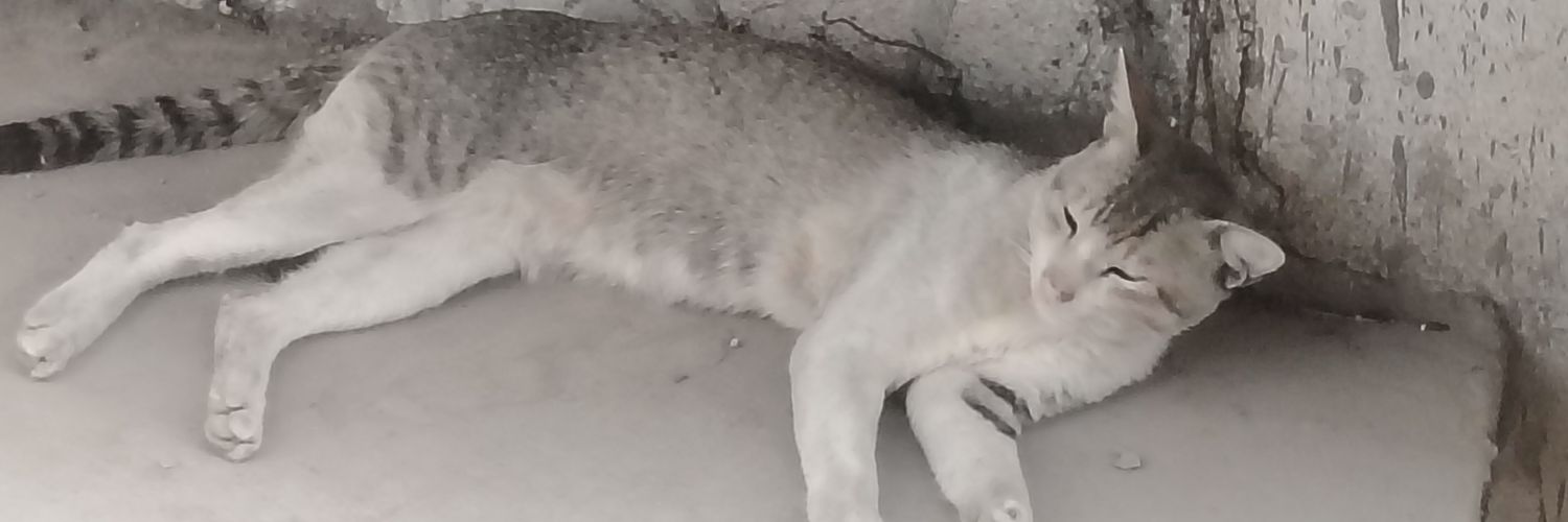 nurmrgo's profile banner image